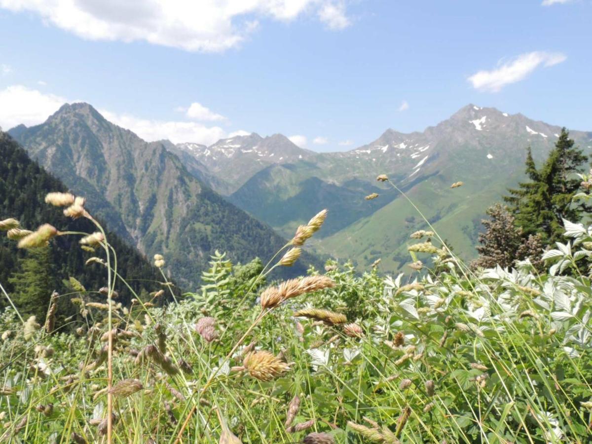 Studio Pour 4 Personnes Au Centre De Cauterets, Proche Telecabines Et Thermes - Fr-1-234-269 المظهر الخارجي الصورة
